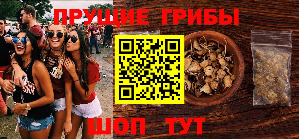 Галлюциногенные грибы Cubensis  Галлюциногенные грибы ЛСД  Гусиноозёрск  Вход с VPN 